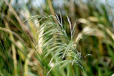 物理建造游戏《围攻》全新DLC“分裂之海” 5月24日发售